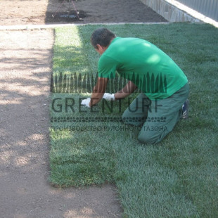 Укладка рулонного газона на готовое основание - фото - 1